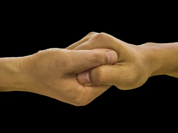 БлуФокс Казино Поддръжка